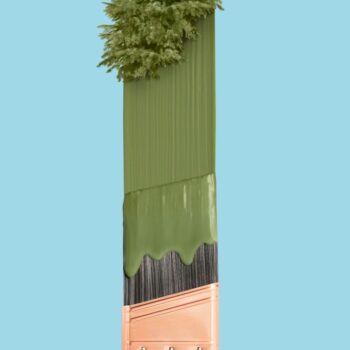 Eco-Friendly Painting: Sustainable Supplies & Low VOC Paints